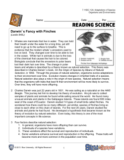 Darwin`s Fancy with Finches
