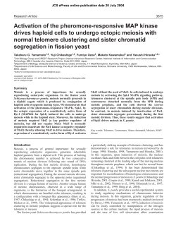 Activation of the pheromone-responsive MAP kinase drives haploid