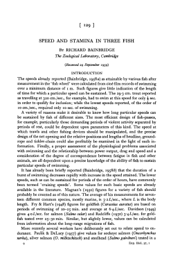 SPEED AND STAMINA IN THREE FISH