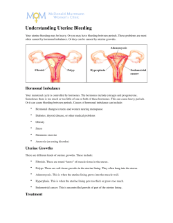 Understanding Uterine Bleeding