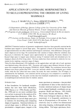 as a PDF