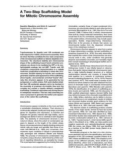 A Two-Step Scaffolding Model for Mitotic Chromosome Assembly