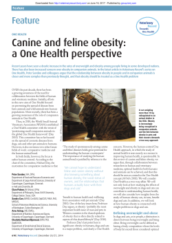 Canine and feline obesity: a One Health
