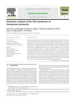 Proteomic analysis of the cilia membrane of Paramecium tetraurelia