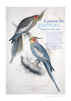 parrots - nonsenselit.org