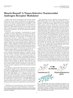 Muscle-Bound? A Tissue-Selective Nonsteroidal Androgen