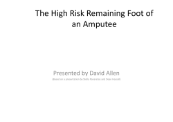The High Risk Remaining Foot of an Amputee