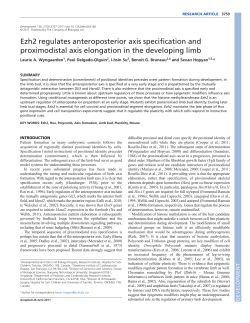 Ezh2 regulates anteroposterior axis specification and proximodistal