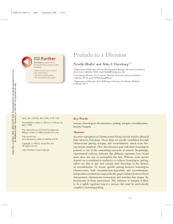 Prelude to a Division - OSU Biochemistry and Molecular Biology