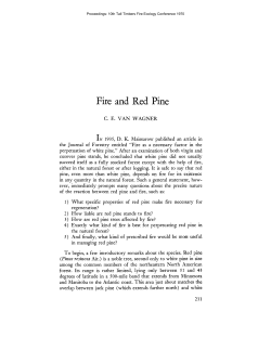 Fire and Red Pine - Tall Timbers Research Station