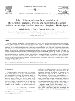 Effect of light quality on the accumulation of photosynthetic