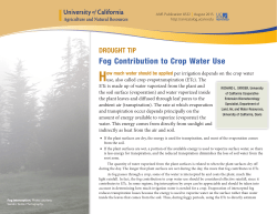 Fog Contribution to Crop Water Use