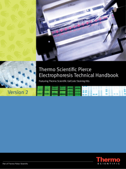 Thermo Scientific Pierce Electrophoresis Technical Handbook