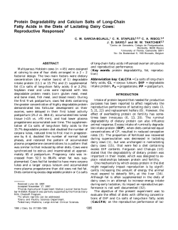 Protein Degradability and Calcium Salts of Long