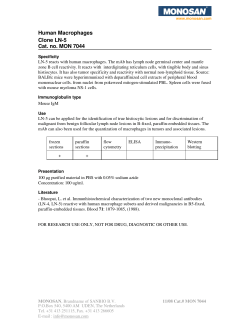 Human Macrophages Clone LN-5 Cat. no. MON 7044