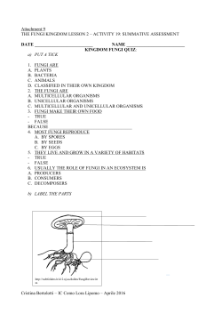 Cristina Bertolotti &ndash; IC Como Lora Lipomo &ndash; Aprile 2016 Attachment