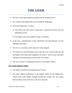 THE LIVER