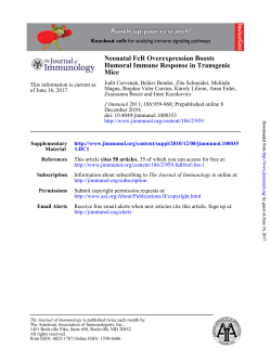 Mice Humoral Immune Response in Transgenic Neonatal FcR