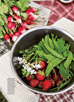 Conde Nast Traveler, November 2012