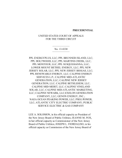 Opinion - State Power Project