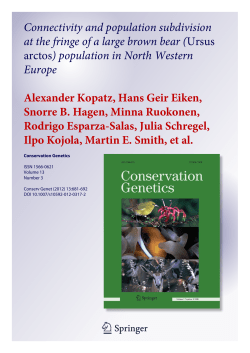 Connectivity and population subdivision at the fringe of a large