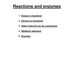 Reactions, enzymes
