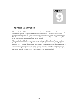 Stereo Investigator&reg; 10 Users Guide