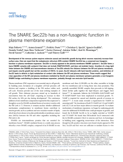 The SNARE Sec22b has a non-fusogenic function in plasma
