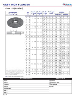 CAST IRON FLANGES