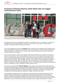 Scanning of flowing blood by white blood cells can trigger