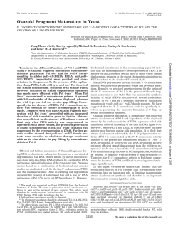 Okazaki Fragment Maturation in Yeast