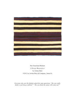 The Chantland Blanket A Navajo Masterpiece by Joshua Baer