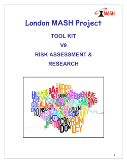 MASH Research Tool Kit V9 - London Safeguarding Children Board