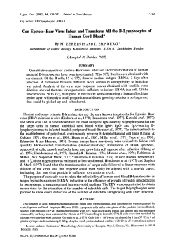 Can Epstein-Barr Virus Infect and Transform All the B