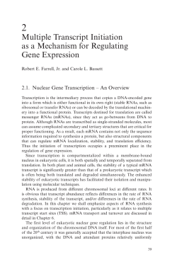 Multiple Transcript Initiation as a Mechanism for Regulating Gene