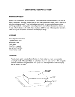 T-SHIRT CHROMATOGRAPHY - What is pages.mtu.edu?