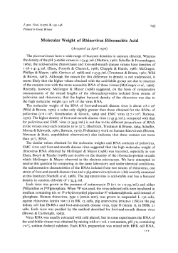 Molecular Weight of Rhinovirus Ribonucleic Acid