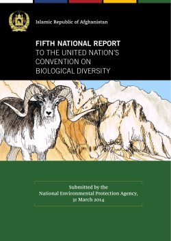 CBD Fifth National Report - Afghanistan (English version)