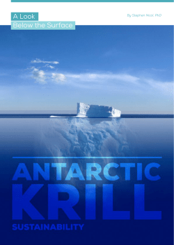 Antarctic Krill: sustainability