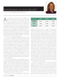 phosphorus in your influent - New York Rural Water Association