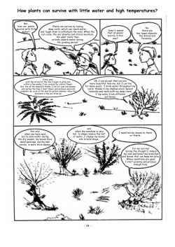 How plants can survive with little water and high