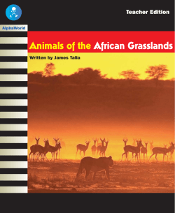 Animals of the African Grasslands