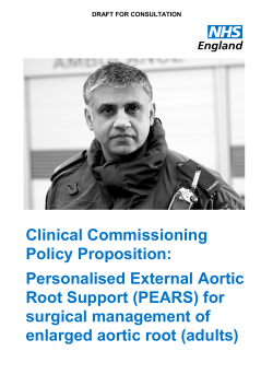 Personalised External Aortic Root Support