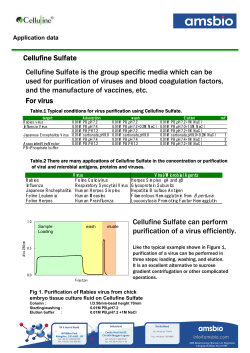 Cellufine Sulfate