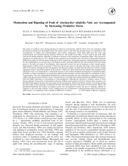 Maturation and Ripening of Fruit of Amelanchier alnifolia Nutt. are
