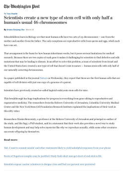 Schoolchildren learn in Biology 101 that most human cells have two