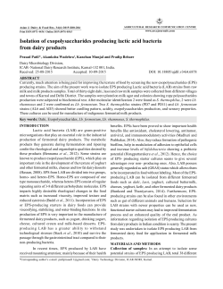 Isolation of exopolysaccharides producing lactic acid bacteria from