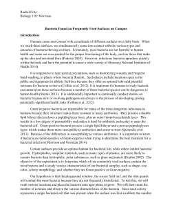 2014-2015 Winner, Rachel Fritz: "Bacteria