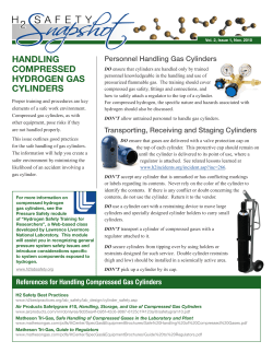 H2 Safety Snapshot - Vol. 2, Issue 1, Nov. 2010