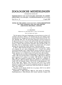 Crustacea - Naturalis repository